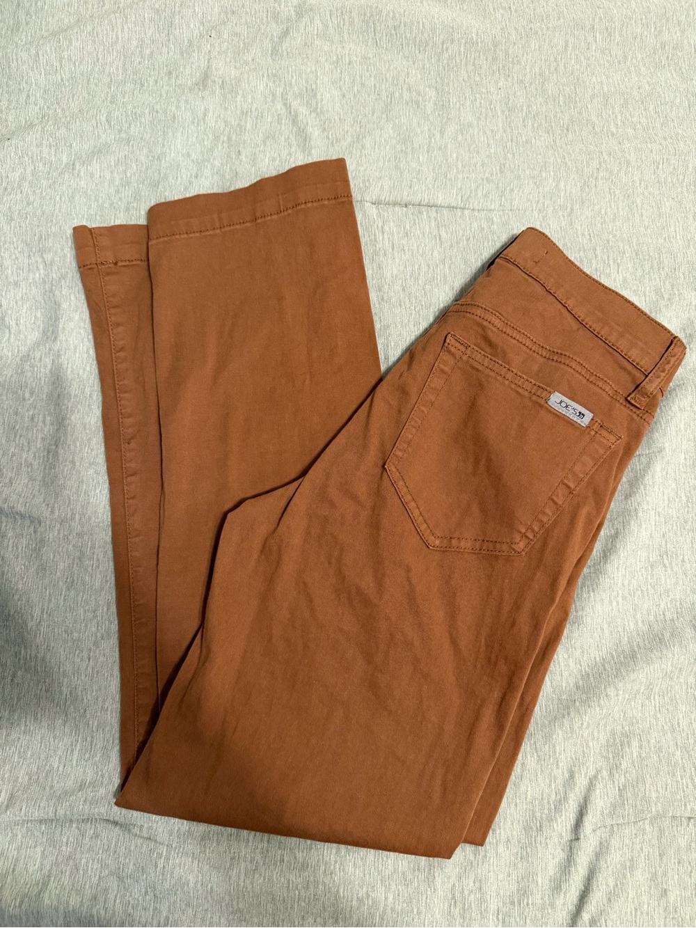 Joe's Jeans Women’s Skinny Jeans in Rust